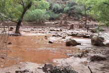 Enxurrada faz 15 desaparecidos no Grand Canyon nos EUA. Dezenas de pessoas retiradas da zona
