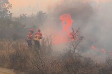 Bombeiros combatem incêndio em área florestal na Covilhã