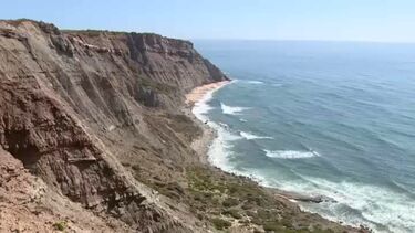 Encontrado fóssil de dinossauro com mais de 140 milhões de anos em Torres Vedras
