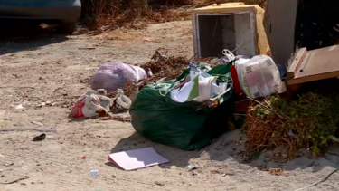 Lixo nas ruas atrai pragas de ratos e baratos para a Charneca da Caparica