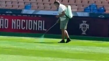 Relvado do Estádio Cidade de Coimbra foi 'pintado' de verde na manhã da Supertaça