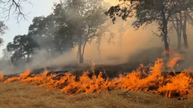 Incêndio florestal na Califórnia alastra para mais de dois mil hectares e destrói vários edifícios  