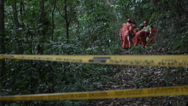 Quatro mortos em queda de helicóptero em zona florestal do Rio de Janeiro 