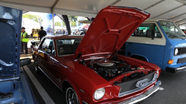 Centenas de carros clássicos e antigos brilham em feira automóvel em Porto Rico  
