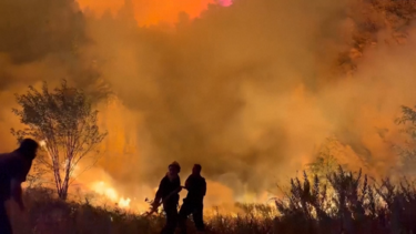 Imagens impressionantes mostram incêndio florestal de grandes dimensões perto da capital da Albânia 