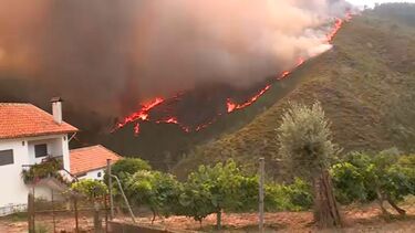 Fogo em Arouca "está para durar" e tem quatro aldeias "na linha de fogo"