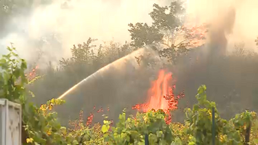 Moradores ajudam a combater incêndio em Celorico de Basto