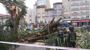Chuva forte e trovoada provocam vários estragos no Porto