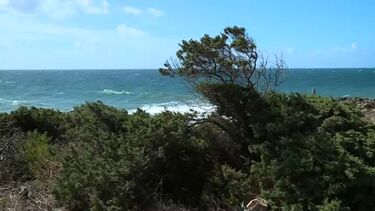 Verão parece estar de volta! Na praia do Guincho há pessoas a aproveitar para fazer desporto