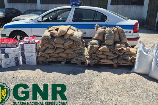 A GNR apreendeu 568 quilogramas de noz areca