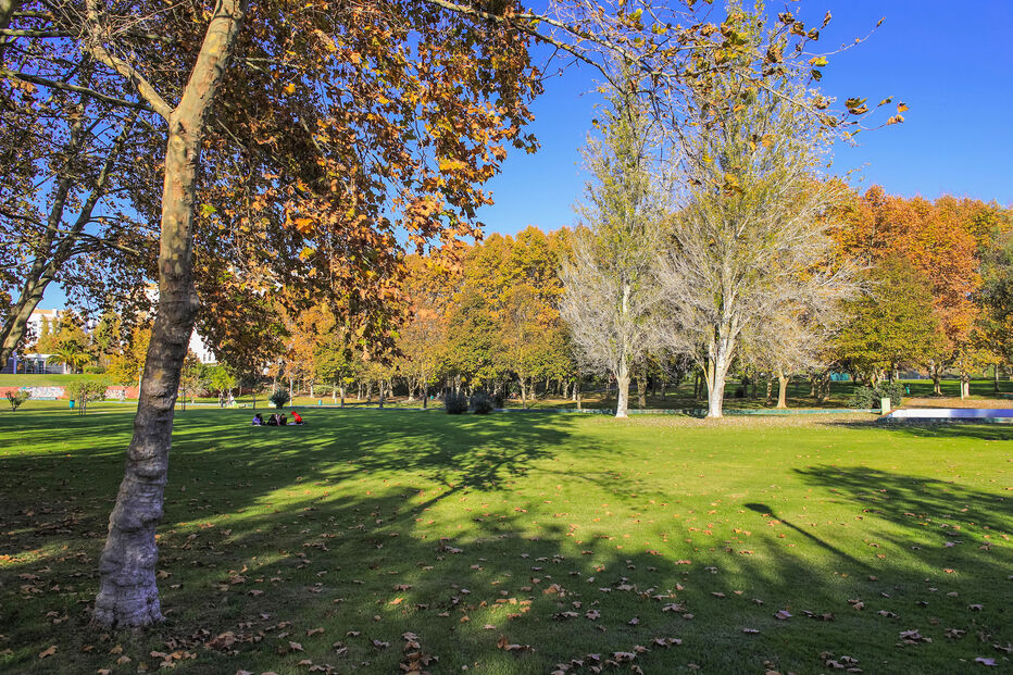 Jardim_Vanicelos_2021-8.jpg