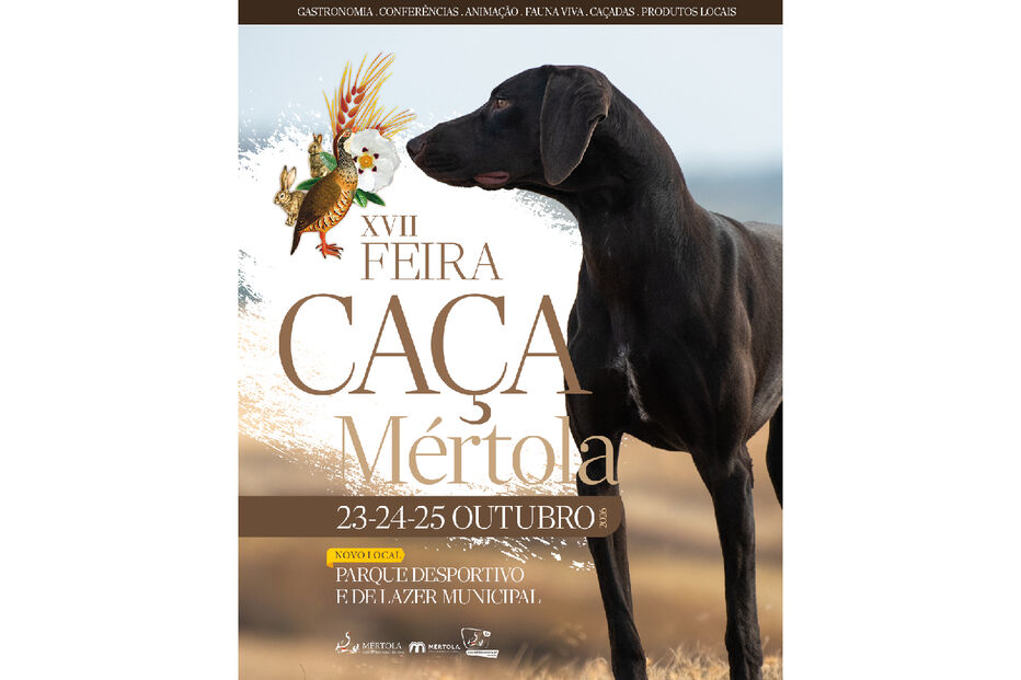 Novo Projeto (8).jpg