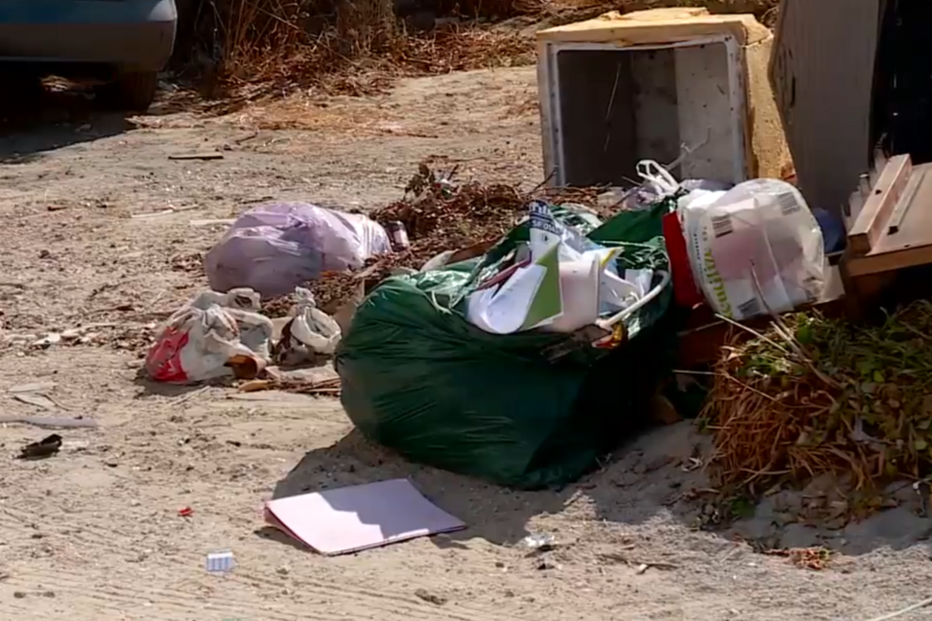 Lixo nas ruas atrai pragas de ratos e baratos para a Charneca da Caparica