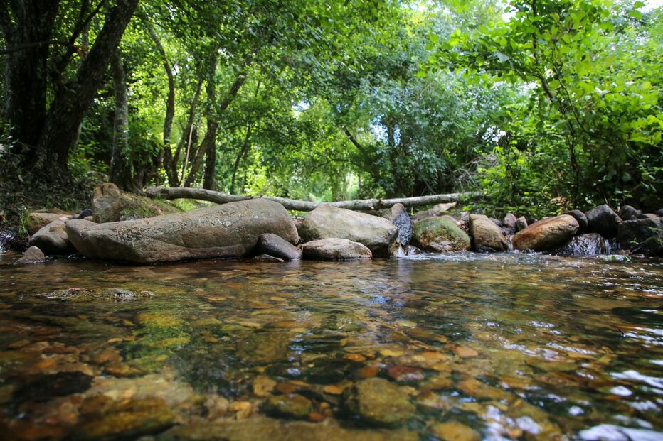 Câmara de Abrantes criticou, esta terça-feira, a intervenção na Ribeira de Alcolobre sem licença da APA
