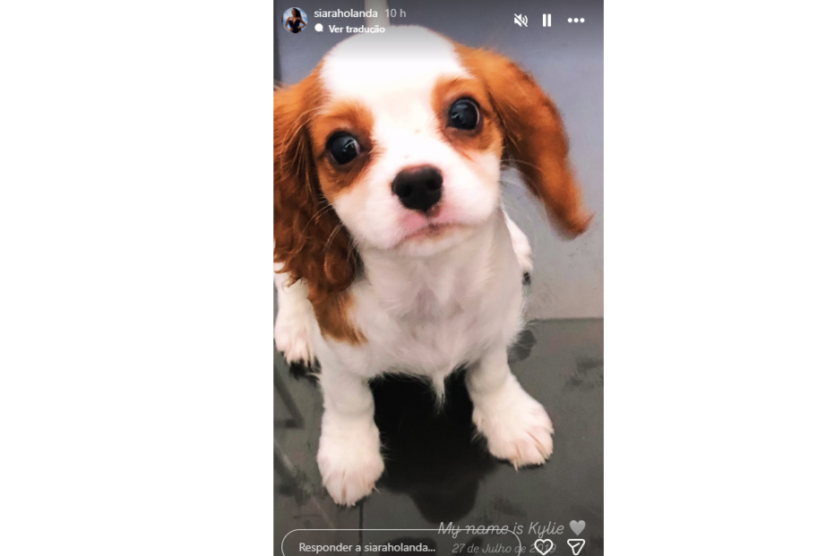 Siara Holanda presta homagens ao cão, Kylie