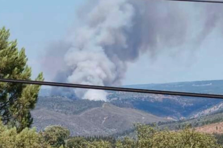 Incêndio em Mação