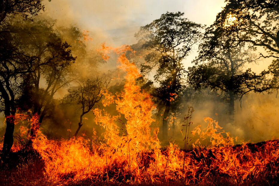 Incêndio florestal em Portugal com combate em curso em 94 frentes