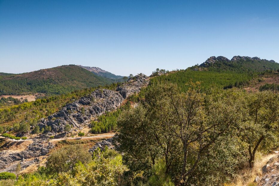 Parque da Serra de São Mamede garantiu, esta sexta-feira, regularização da prestação de contas