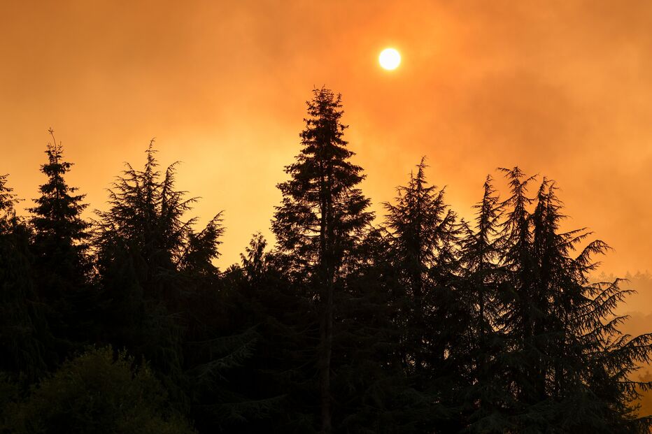 Incêndio na Alemanha obriga a cerca de 2 mil pessoas a abandonar as habitações 