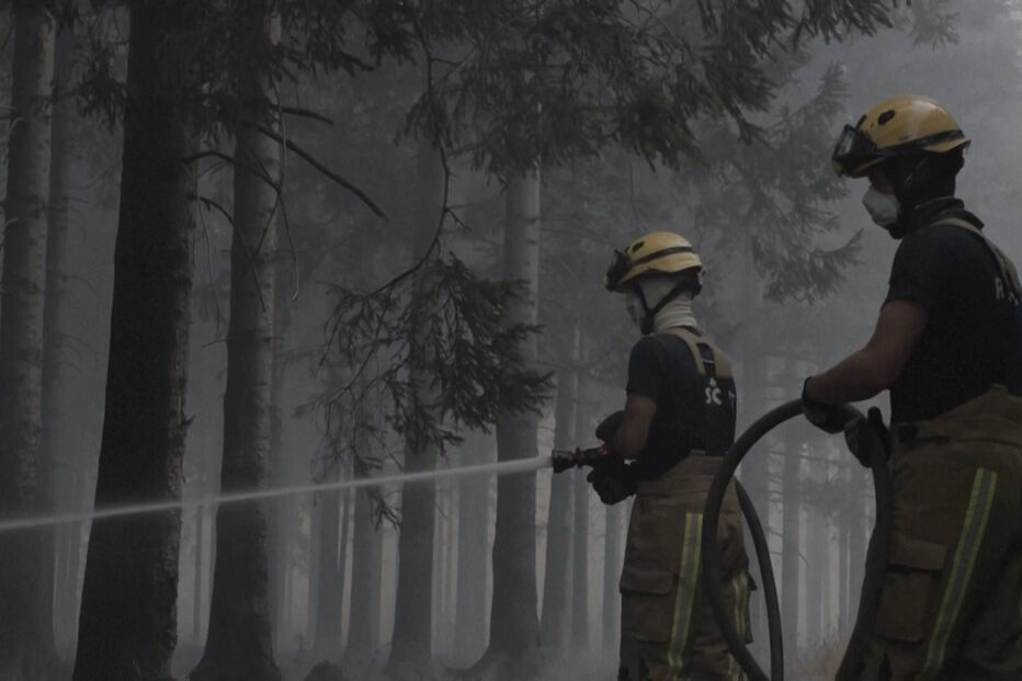 Bombeiros combatem incêndio em floresta na Bélgica