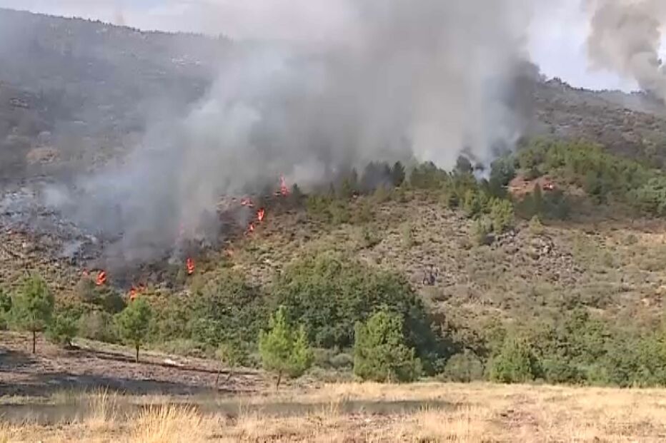 Mais de 200 operacionais combatem incêndio em Boticas. Sete meios aéreos no local