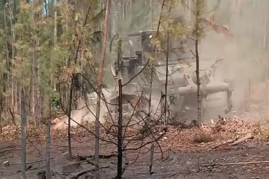 Casas atingidas há quatro anos pelo fogo na Serra da Estrela continuam destruídas