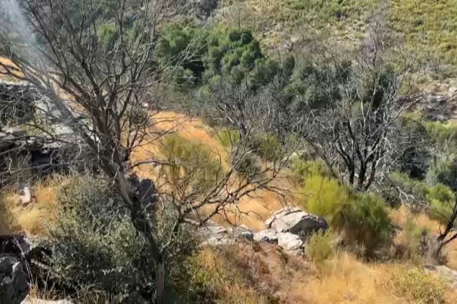 Quatro anos após incêndio na Serra da Estrela apenas 12% do investimento de milhões prometido pelo Governo foi aplicado