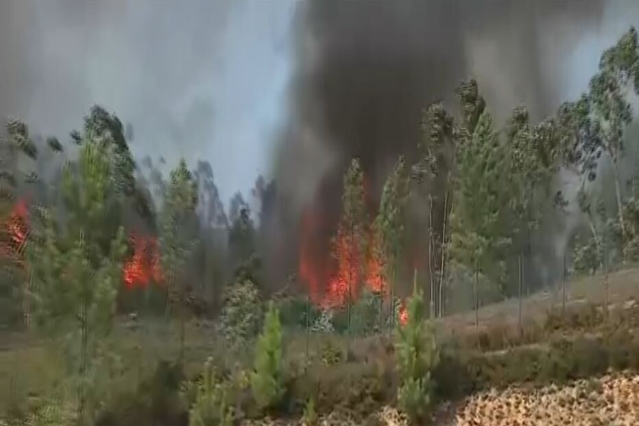 Incêndio Valongo 
