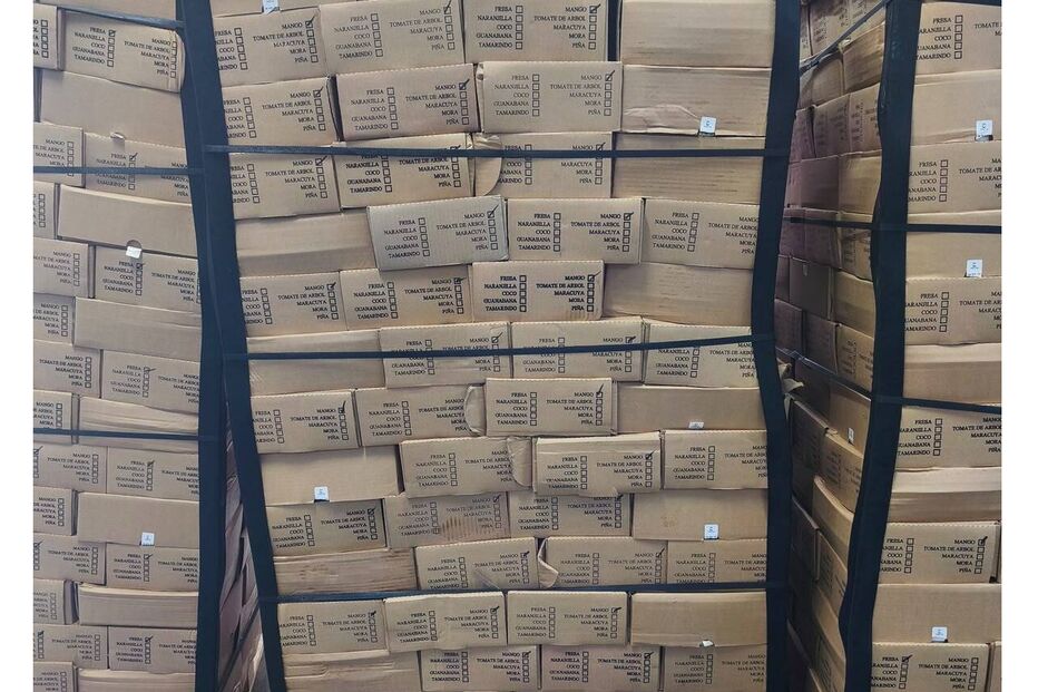 Operação conjunta da Judiciária e autoridades espanholas apreende 150 quilos de cocaína escondidos em polpa de fruta