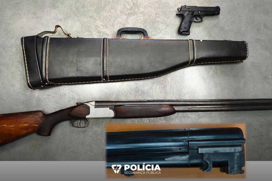 Armas apreendidas pela PSP ao suspeito