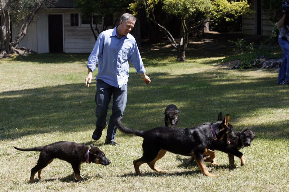 James Symington e os cinco cães clonados com ADN de Trakr