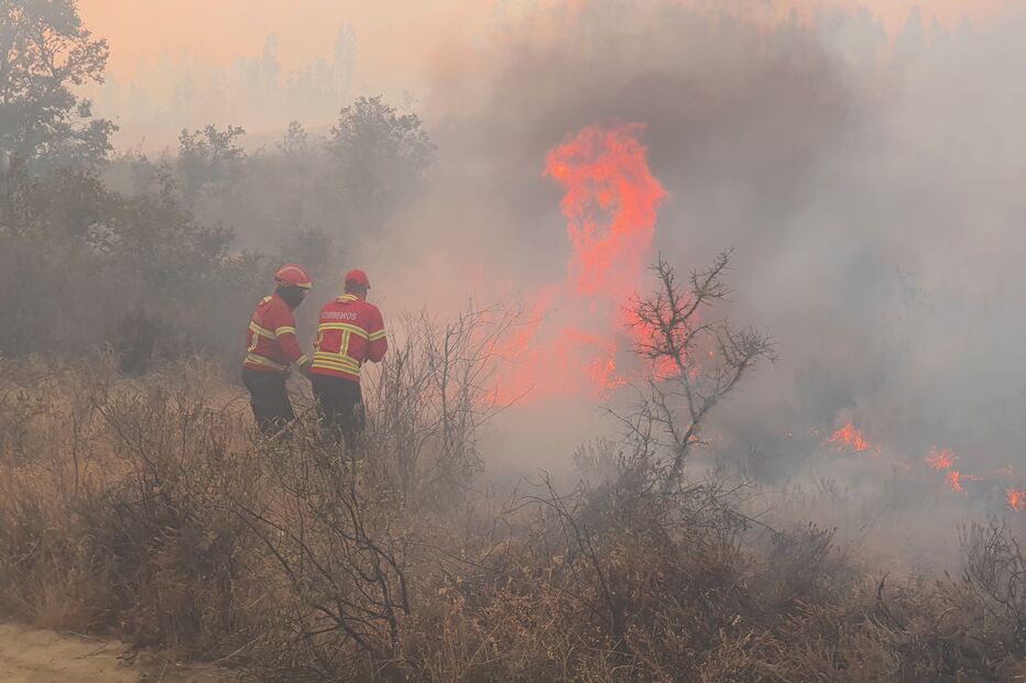 Bombeiros combatem incêndio em área florestal na Covilhã