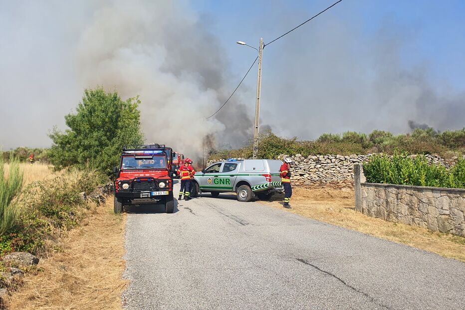 Covilhã, a mais fustigada pelo fogo desde 2020, perdeu quase 30 mil hectares