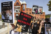 Cerca de 300 pessoas manifestaram-se em Lisboa pelos direitos 