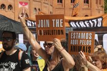 Cerca de 300 pessoas manifestaram-se em Lisboa pelos direitos 