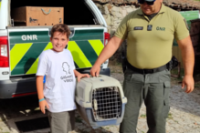 GNR salva coruja debilitada encontrada por popular na berma da estrada na Guarda