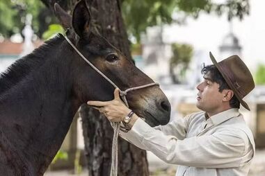 Sandra tenta matar Policarpo, que é amparado pelo seu burro