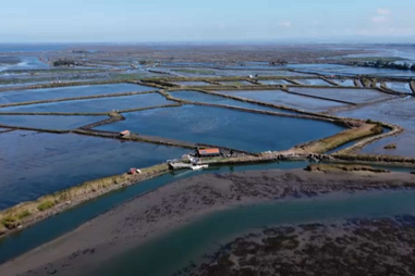 Ilha privada no coração da Ria de Aveiro está à venda por 750 mil euros