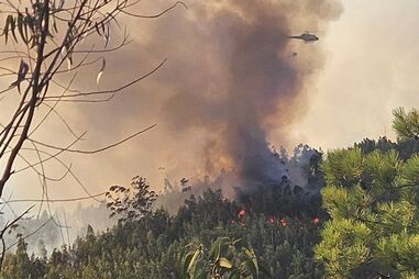 Dominado incêndio que mobilizou cerca de 400 operacionais em Coimbra