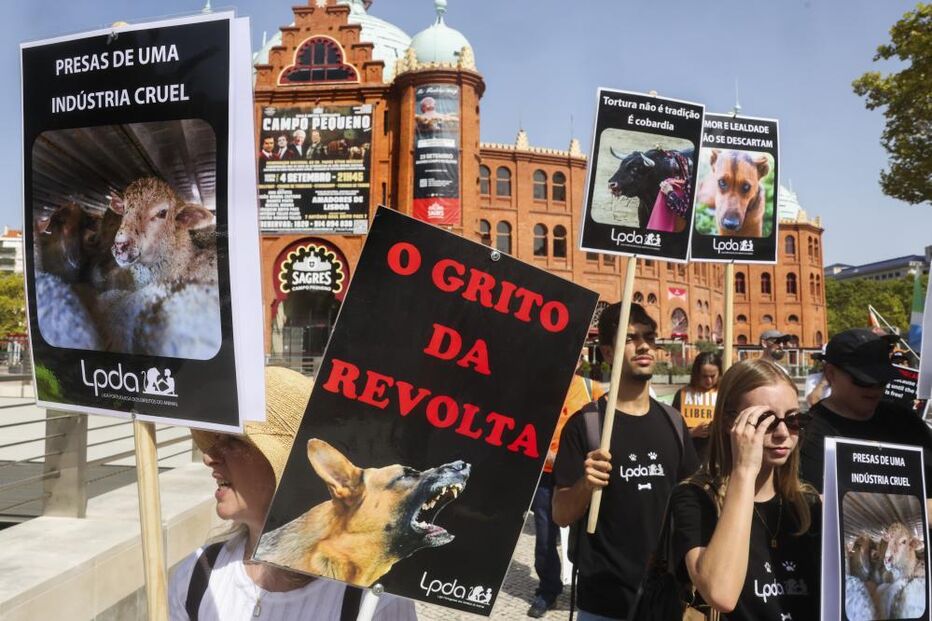 Cerca de 300 pessoas manifestaram-se em Lisboa pelos direitos 