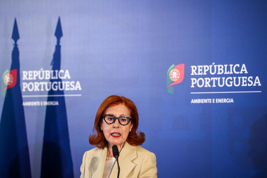 Maria da Graça Carvalho, ministra do Ambiente