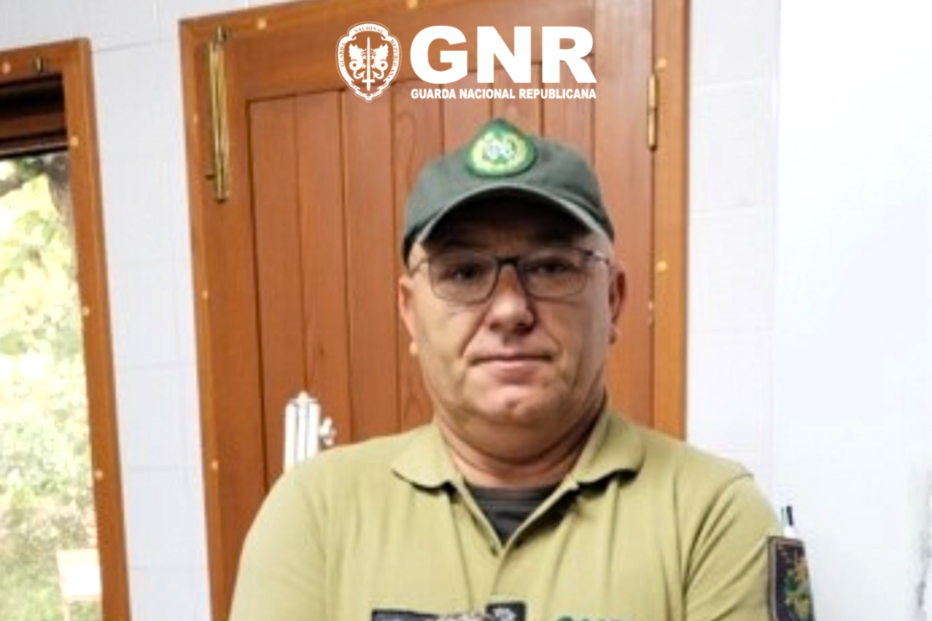 GNR recupera coruja debilitada, encontrada por popular na Guarda