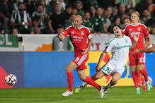 Omonia - Benfica