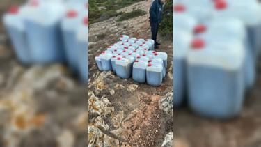 Oito detidos em operação da GNR contra o narcotráfico em Vila do Bispo saem em liberdade