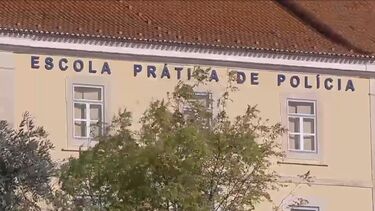 Há alunos a ficar em alojamentos provisórios enquanto a infestação continua sem uma solução à vista