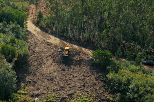 Conheça o projeto para a Linha de Alta Velocidade. Construção "arranca" hoje