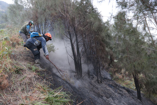 Incêndio no Parque Nacional do Monte Bromo na Indonésia 