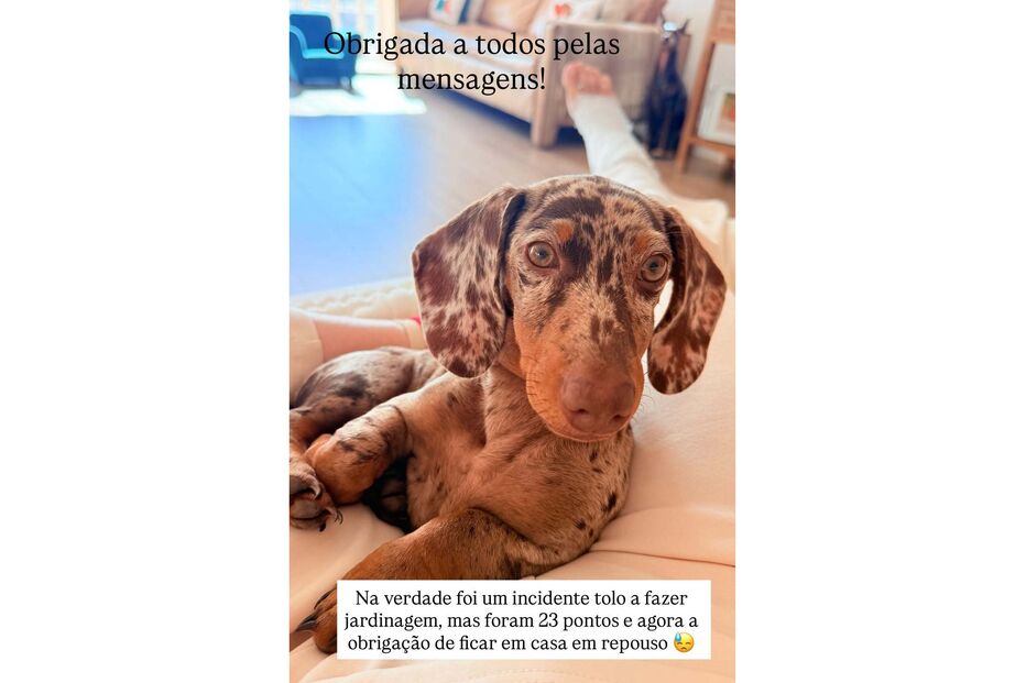 Dália Madruga, story