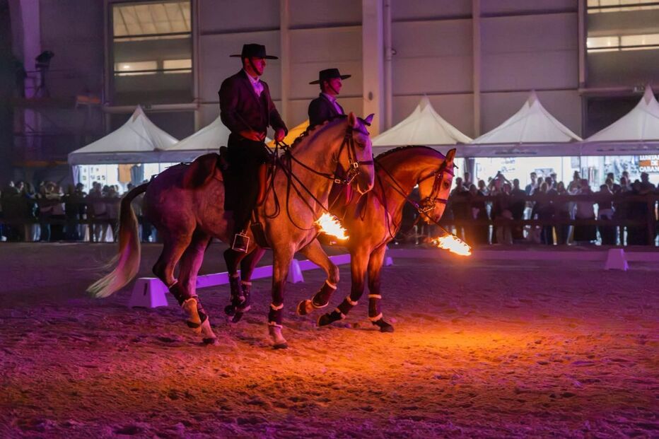 Cavaleiros com fogo participam em espetáculo equestre na Agrovouga em Aveiro