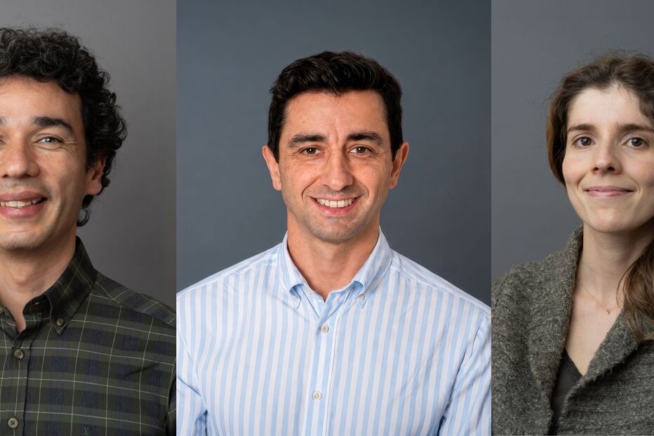 Três pessoas sorriem em retratos individuais